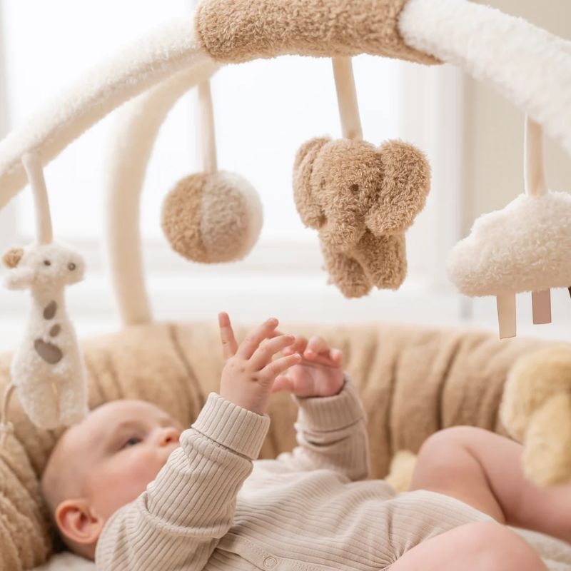 teddy speelkleed, teddy baby gym met activiteiten, nattou